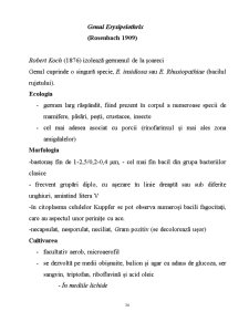 Microorganisme - Pagina 34