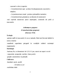 Microorganisme - Pagina 38