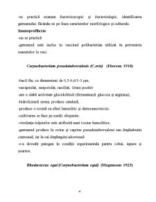 Microorganisme - Pagina 40