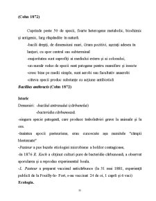 Microorganisme - Pagina 50