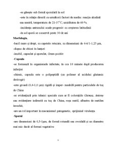 Microorganisme - Pagina 51