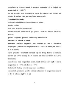 Microorganisme - Pagina 52
