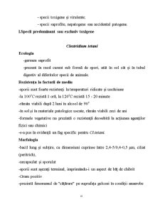 Microorganisme - Pagina 61
