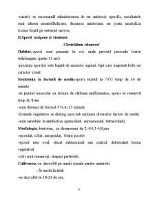 Microorganisme - Pagina 69