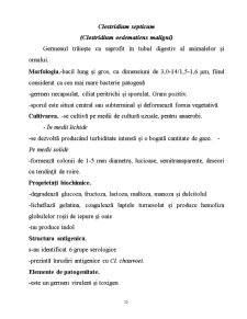 Microorganisme - Pagina 72