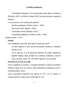 Microorganisme - Pagina 74