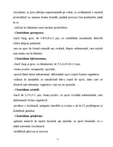 Microorganisme - Pagina 78