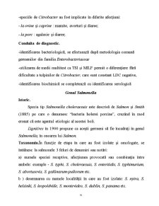 Microorganisme - Pagina 91