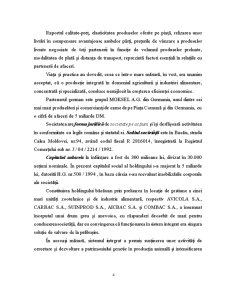 Monografie contabilă Agricola Internațional - Pagina 4