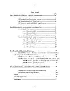 Balanta de Plati Externe - Instrument de Fundamentare si Urmarire a Echilibrului Valutar al unei Tari - Pagina 2