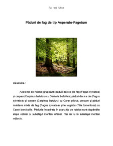 Fișă habitat asperulo - fagetum - Pagina 1