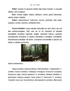 Fișă habitat asperulo - fagetum - Pagina 3