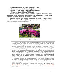 Parcul Natural - Golul Alpin Făgăraș - Pagina 2