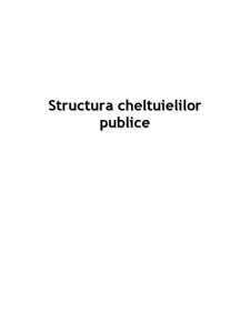 Structura cheltuielilor publice - Pagina 1