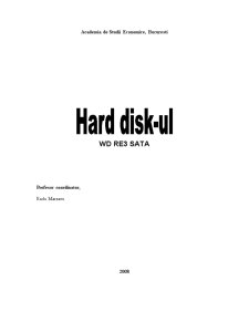 Hard Disk-ul - aplicație WD RE3 Sata - Pagina 1