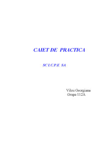 Practică - SC ICPE SA - Pagina 1