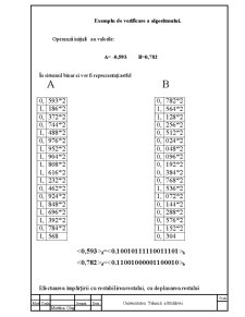 Unitate numerică de calcul - Pagina 4