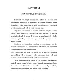 Terorismul în Dreptul Penal - Pagina 3