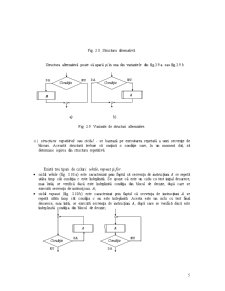 Noțiuni despre Algoritmi și Programare Structurată - Pagina 5