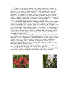 Tehnologia conservelor - nectar de vișine - Pagina 4