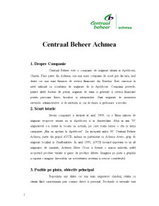 Centraal Beheer - analiza tehnicilor promoționale - Pagina 1