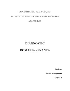 Management Intercultural - Diagnostic - Pagina 1