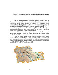 Poziția județului Neamț în cadrul regiunii nord-est - Pagina 2