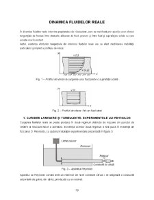 Mecanica fluidelor - dinamica fluidelor reale - Pagina 1