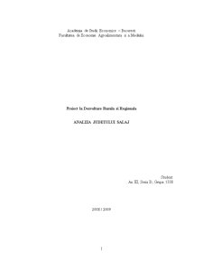 Dezvoltarea rurală și regională a județului Sălaj - Pagina 1