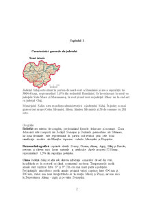Dezvoltarea rurală și regională a județului Sălaj - Pagina 2