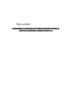 Organizarea și Conducerea Sistemului financiar-contabil al Societății Comerciale Agromec Berești SA - Pagina 2
