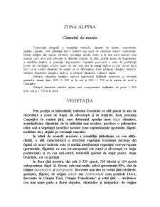 Zona alpină - Pagina 1
