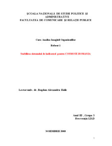 Stabilirea Sistemului de Indicatori pentru Cosmote România - Pagina 1