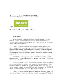 Stabilirea Sistemului de Indicatori pentru Cosmote România - Pagina 3