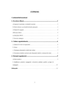 Analiza managerială a firmei - Comatex - Pagina 2