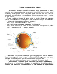Caracterizarea Fizico-Chimica a Medicamentelor Oculare - Pagina 5