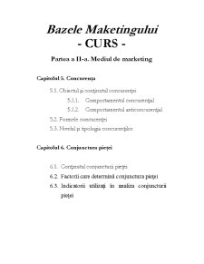 Bazele Marketing-ului - Pagina 3