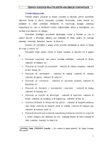 Tehnici Juridice Practicate în Dreptul Comunitar al Afacerilor - Pagina 2