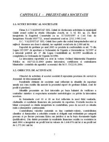 Analiza financiară - firma SC Valenstaf SRL Galați - Pagina 3