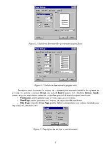 Microsoft Word - Pagina 5