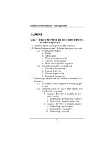 Sisteme Informatice în Management - Pagina 1