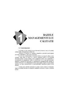 Managementul Calitatii în Sectorul Public - Pagina 1