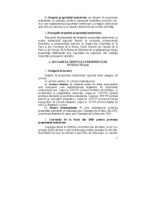 Dreptul Proprietății Intelectuale - Pagina 2