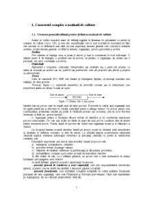 Standardizare și Certificare - Pagina 5