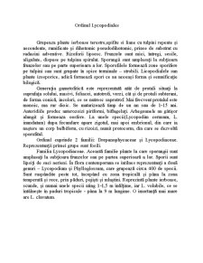 Ordinul Lycopodiales - Pagina 1