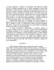 Ordinul Lycopodiales - Pagina 3