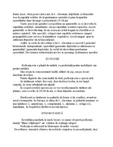 Ordinul Lycopodiales - Pagina 4