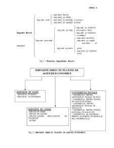Studiu privind Impozitele Directe la SC Danalex Com'97 SRL - Pagina 2