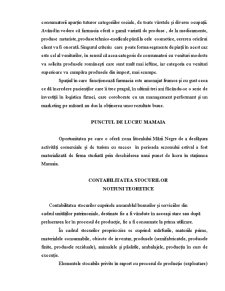 Contabilitatea stocurilor la SC Cetfarm SRL Constanța - Pagina 3