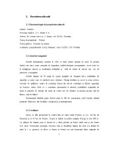 Plan de Afaceri - Hotel Al Monte - Pagina 5